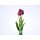 5er Tulpen-Strauß "Premium" lila