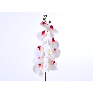Orchidee 90cm 3D Real-Touch weiss-rose