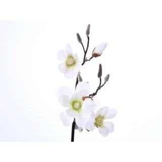 Magnolienzweig 5-Blüten 90cm weiss