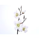 Magnolienzweig 5-Blüten 90cm weiss