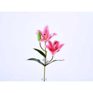 Lilie XL 2 Blüten ca.80cm pink