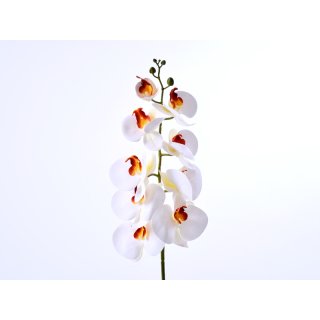 Orchidee 90cm 3D Real-Touch weiss-grün