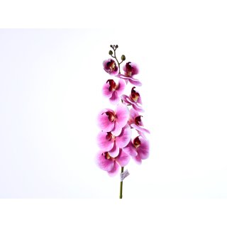 Orchidee 90cm 3D Real-Touch weiss-lila